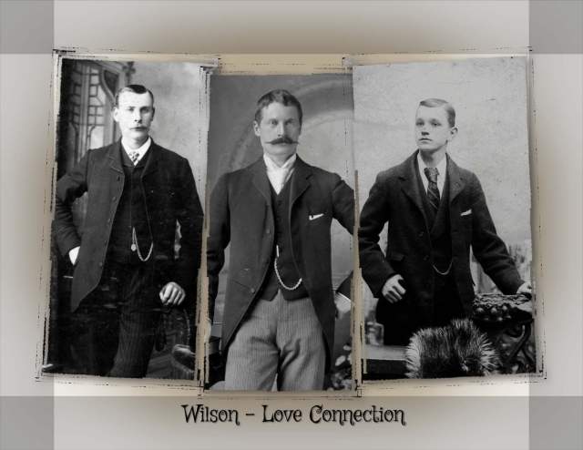 Wilson - Love Connection