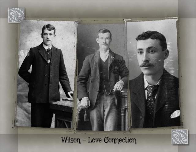 Wilson - Love Connection
