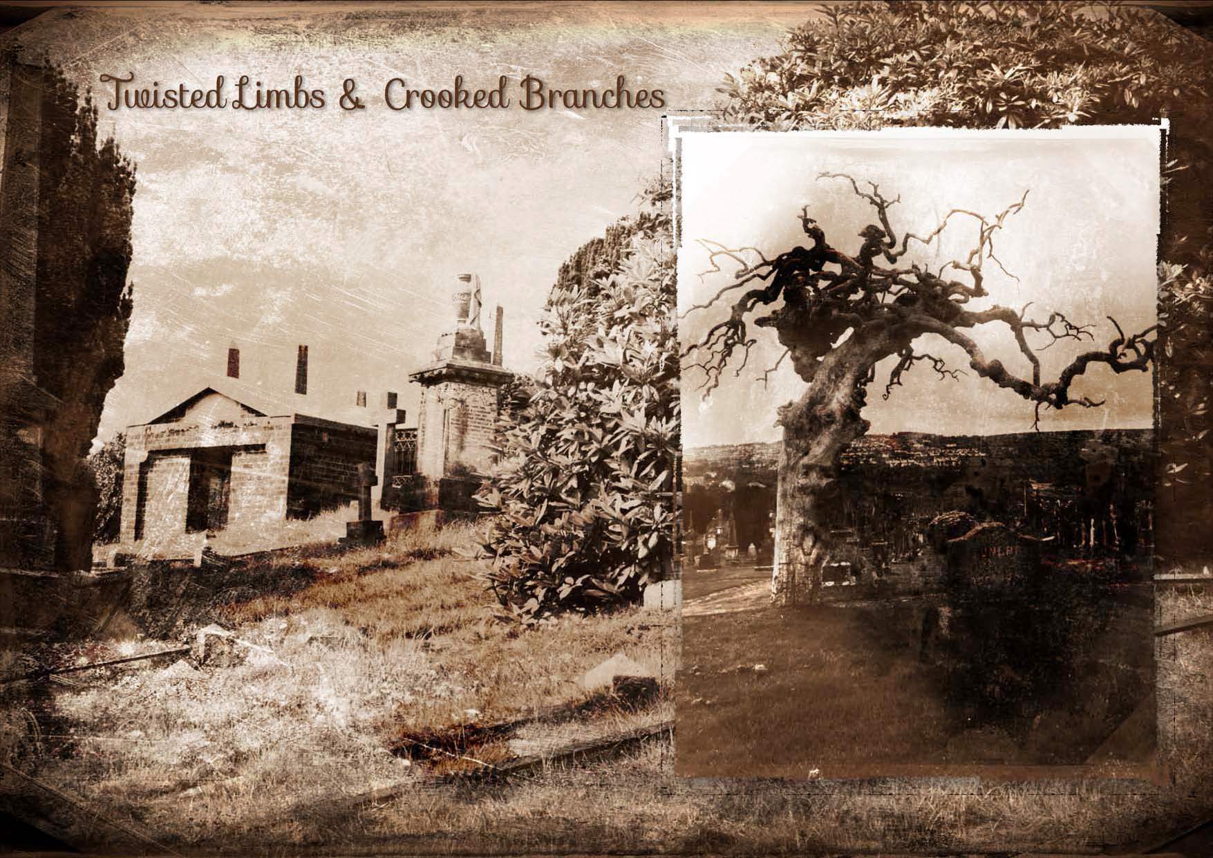 Twisted Limbs &amp; Crooked Branches at the Derry City Cemetery 1