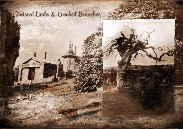 Twisted Limbs &amp; Crooked Branches at the Derry City Cemetery 1