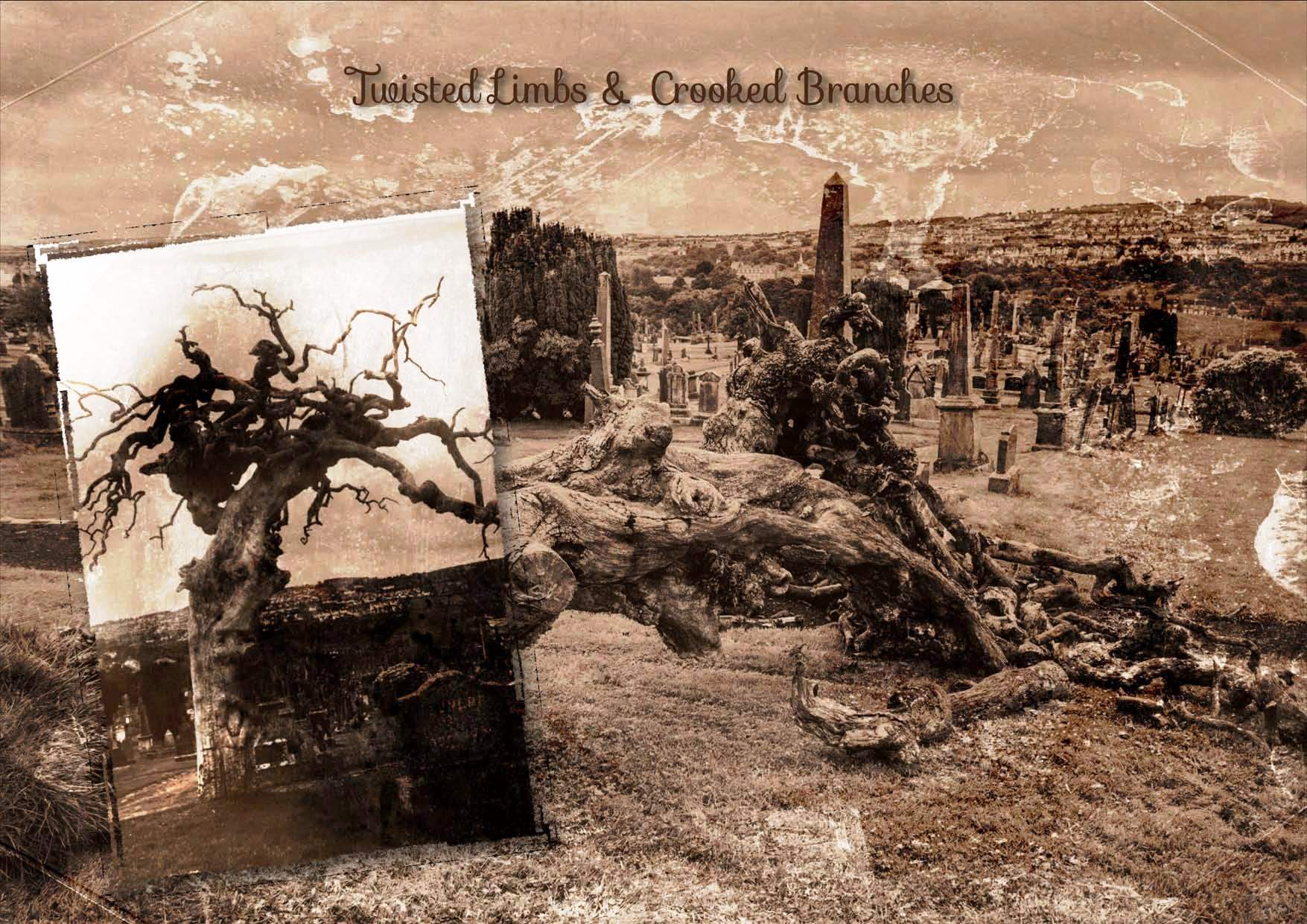 Twisted Limbs &amp; Crooked Branches at the Derry City Cemetery 2