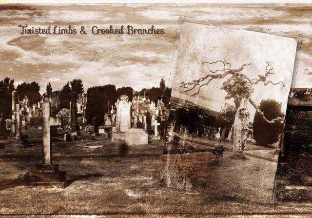 Twisted Limbs &amp; Crooked Branches at the Derry City Cemetery 4